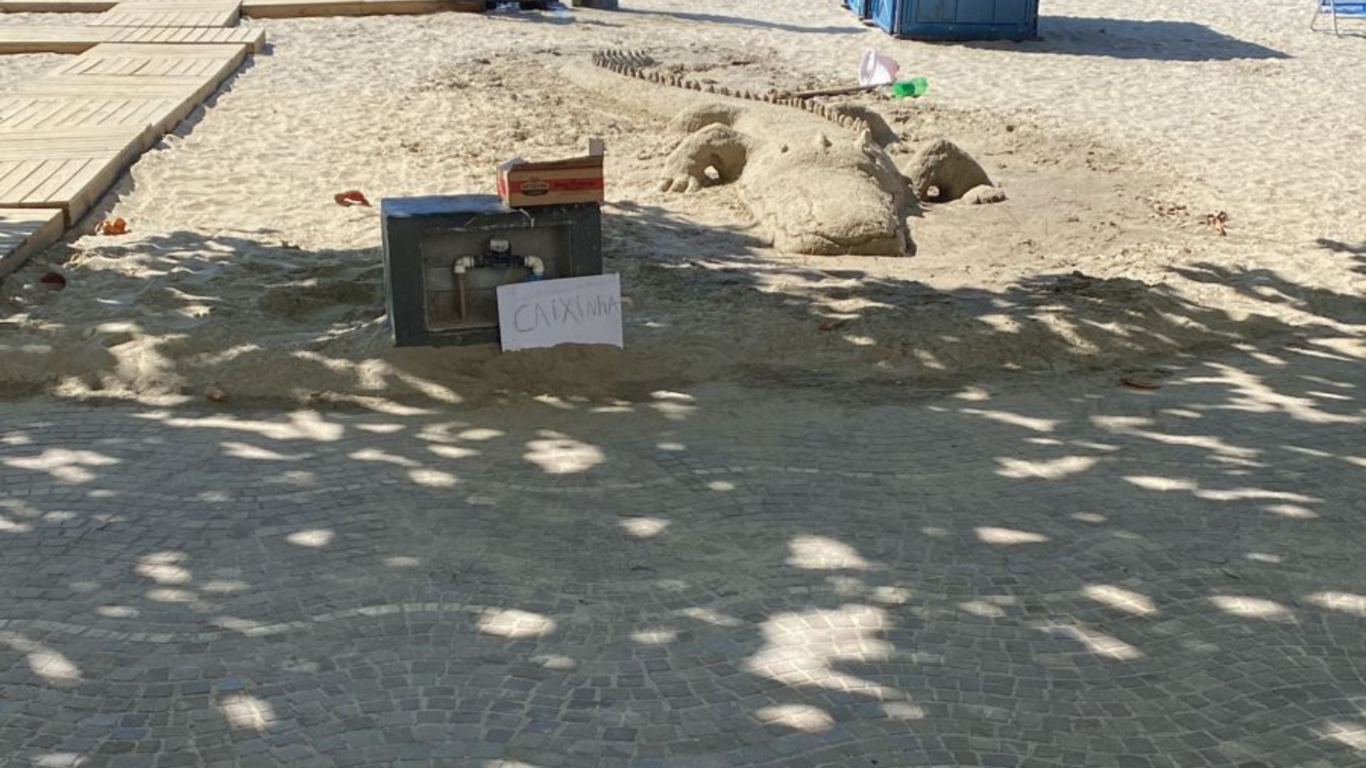 Jacaré de ‘areia’ chama atenção de moradores em praia de Balneário Camboriú; veja