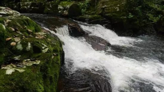 Sucuri toma banho de cachoeira e é levada por correnteza