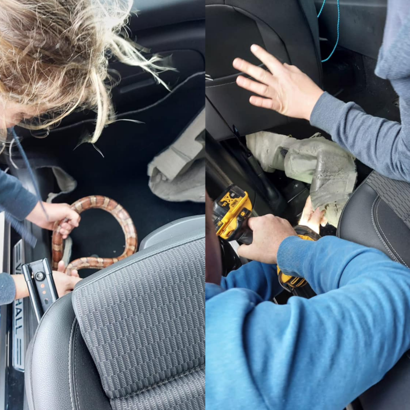 Brit&acirc;nico encontra cobra no painel do carro e se assusta – Foto: Linjoy Wildlife Sanctuary and Rescue/Facebook/Reprodu&ccedil;&atilde;o/ND