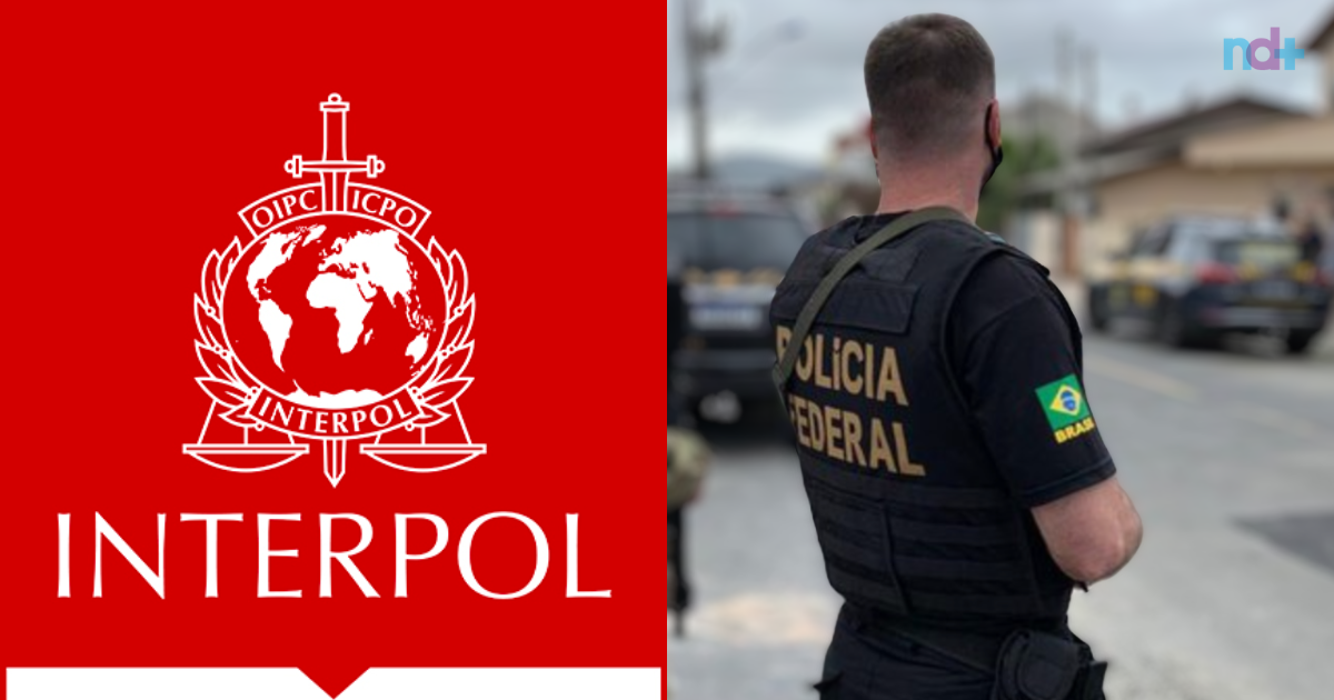 Assassinato, roubo e cultivo de drogas: veja os crimes de catarinenses na lista da Interpol