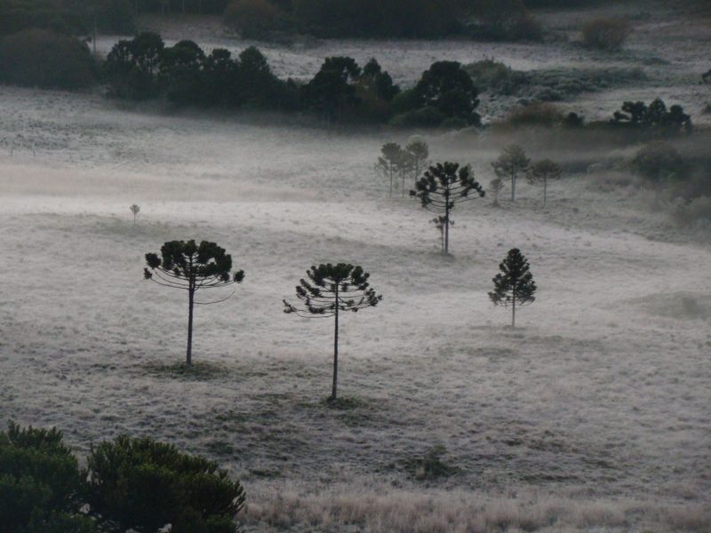 Inverno no hemisf&eacute;rio sul inicia no dia 20 de junho, segundo o Epagri/Ciram – Foto: Wagner Urbano/Divulga&ccedil;&atilde;o/ND