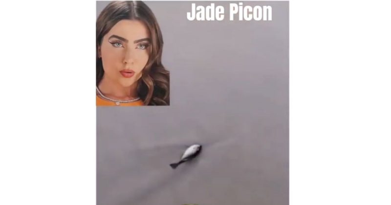 Jade Picon salva peixe em praia, mas leva um susto