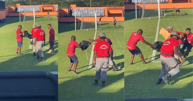 Ninho de marimbondo "interrompe" jogo da Série D