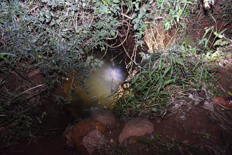 O jovem morreu com um coque de motor elétrico. 