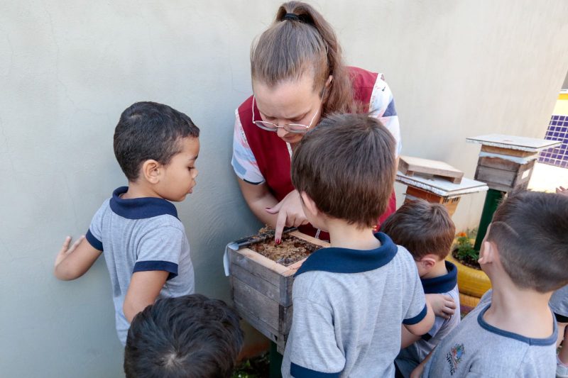 Professores trabalham conte&uacute;dos interdisciplinares por meio do projeto – Foto: Prefeitura de Joinville/Divulga&ccedil;&atilde;o/ND