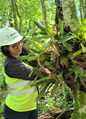 Programas Ambientais