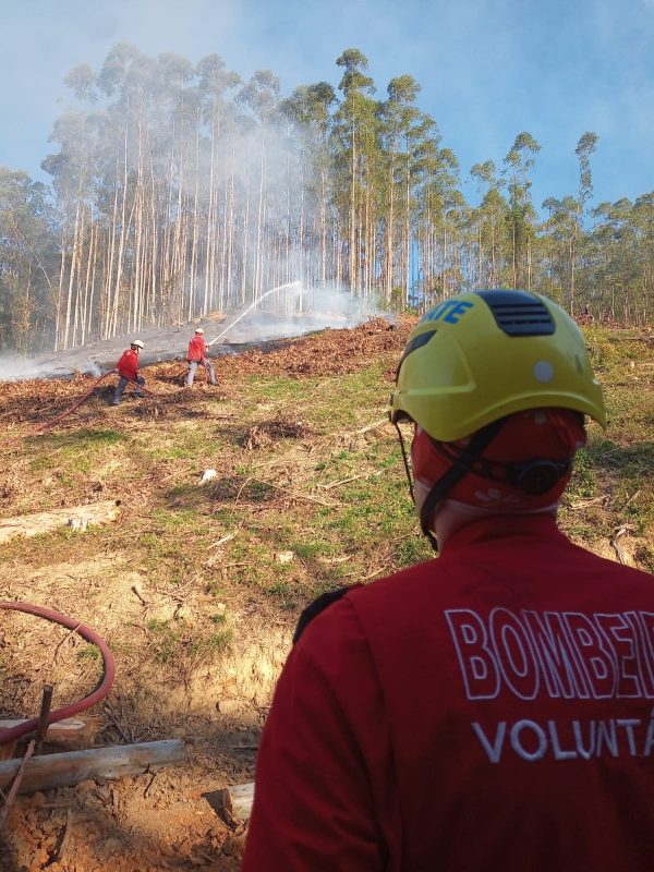 Incêndio em vegetação mobiliza equipe dos Bombeiros Voluntários em Indaial &#8211; Foto: Bombeiros Voluntários/Reprodução ND