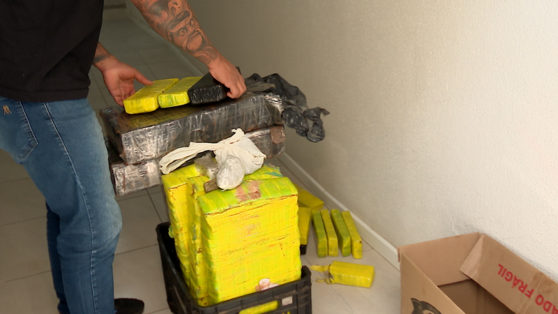 Polícia Civil apreendeu mais de 80 kg de maconha em Blumenau 