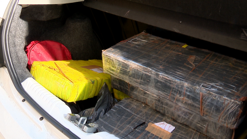 Polícia Civil apreendeu mais de 80 kg de maconha em Blumenau 