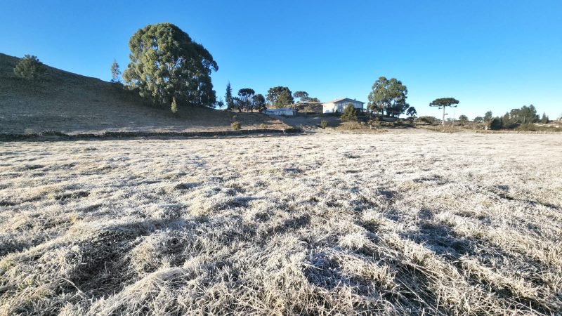 O tempo nesta terça conta com temperaturas negativas em algumas cidades da Serra. Além disso, houve registro de geadas em locais elevados das regiões serrana, Meio-Oeste e Oeste de Santa Catarina
