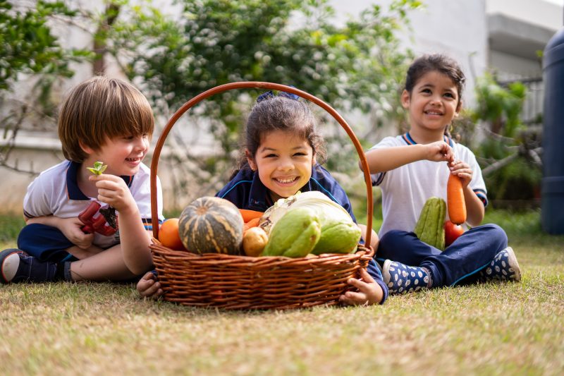 É por meio do cuidado com a terra, na horta escolar, que as crianças dividem as vivências na Educação Infantil