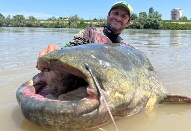 A giant catfish was caught by an Italian in the Po River