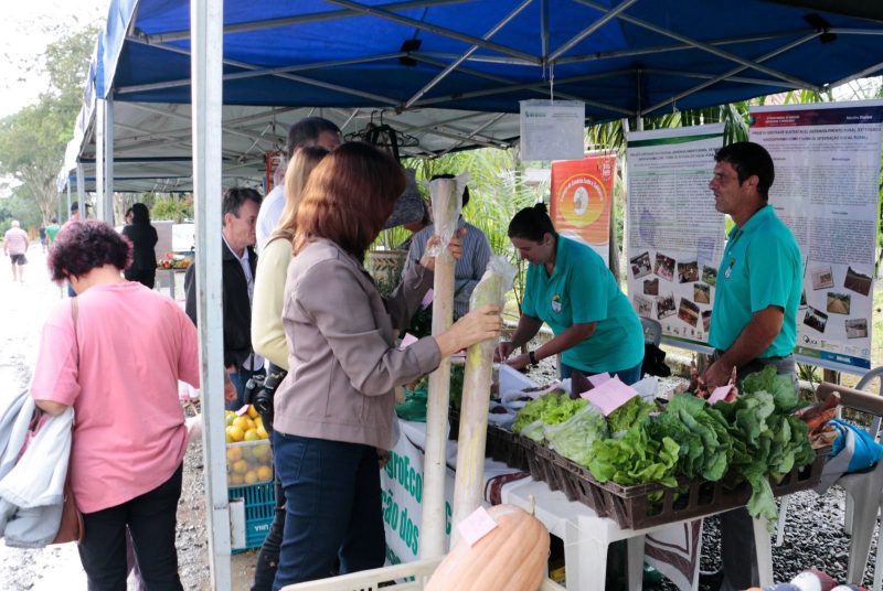 Produtos orgânicos, agroecológicos e hidropônicos terão espaço garantido na feira