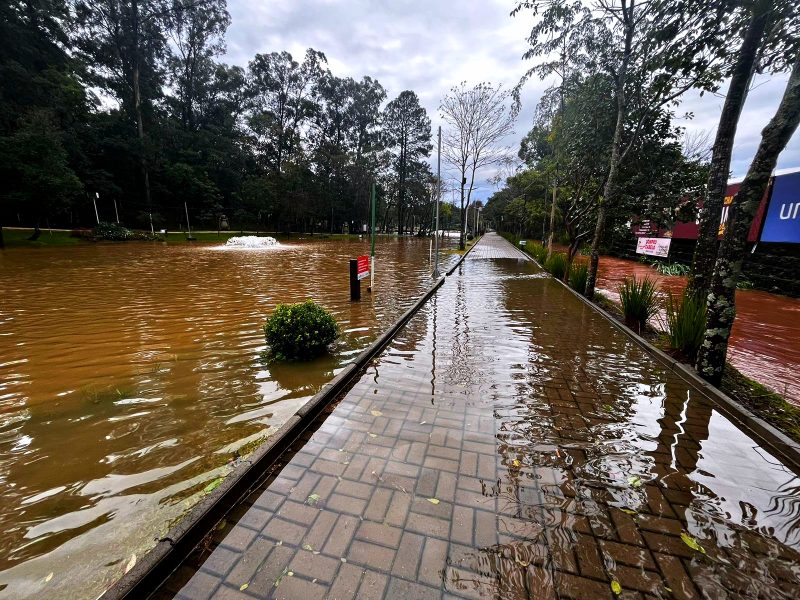 Chuva intensa provoca transbordamento do lago do Ecoparque em Chapecó