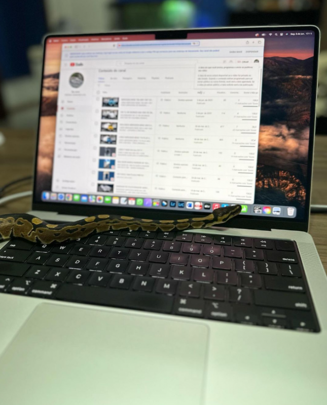 Empresário de Indaial adotou uma cobra como animal de estimação 