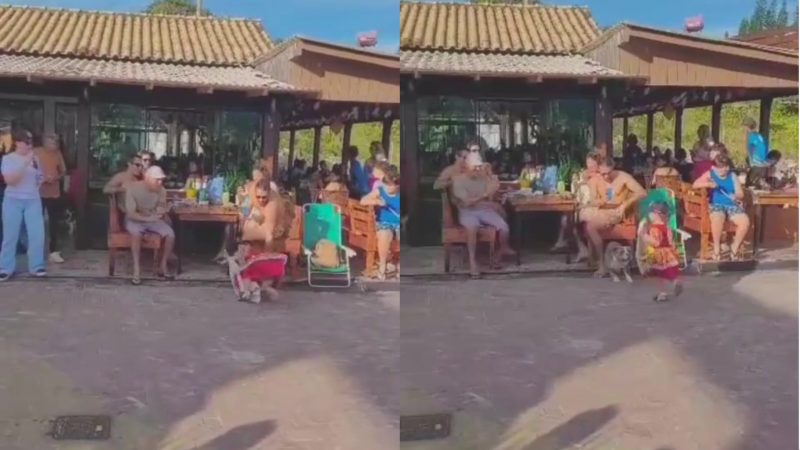 Menina é atacada por cachorro enquanto se apresentava com grupo de Boi de Mamão em Florianópolis