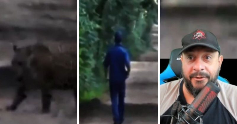 Especialista teve rea&ccedil;&atilde;o curiosa ao ver homens assustados com rugidos de animal feroz – Foto: @biologohenrique/Instagram/Divulga&ccedil;&atilde;o/ND