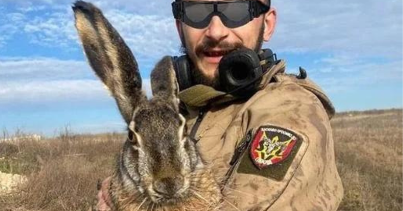 Lebre gigante foi capturada por soldados ucranianos que desativavam minas ao redor de uma cidade ocupada pela Ucrânia