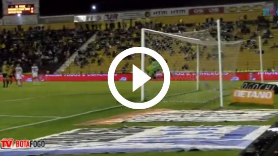 John Textor, do Botafogo, após ver jogo na torcida: É o único jeito de  assistir a futebol, botafogo