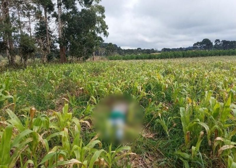 Pol&iacute;cia Cient&iacute;fica e o IML estiveram no local e ser&aacute; feita a necropsia do corpo – Foto: Pol&iacute;cia Civil/Divulga&ccedil;&atilde;o/ND