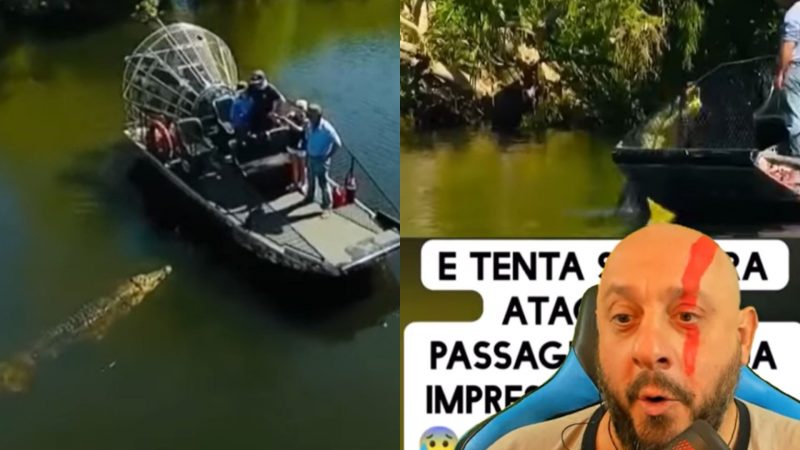 Crocodilo ataca barco