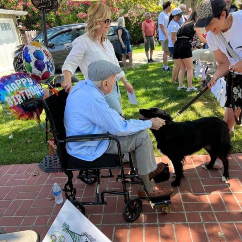 Idoso foi surpreendido com uma fila de mais de 200 cachorros