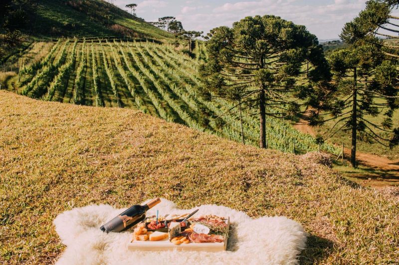 Foto de uma tábua de frios e uma garrafa de vinho em cima do campo da vinícola. Ao fundo, araucárias e parreirais de uva. 