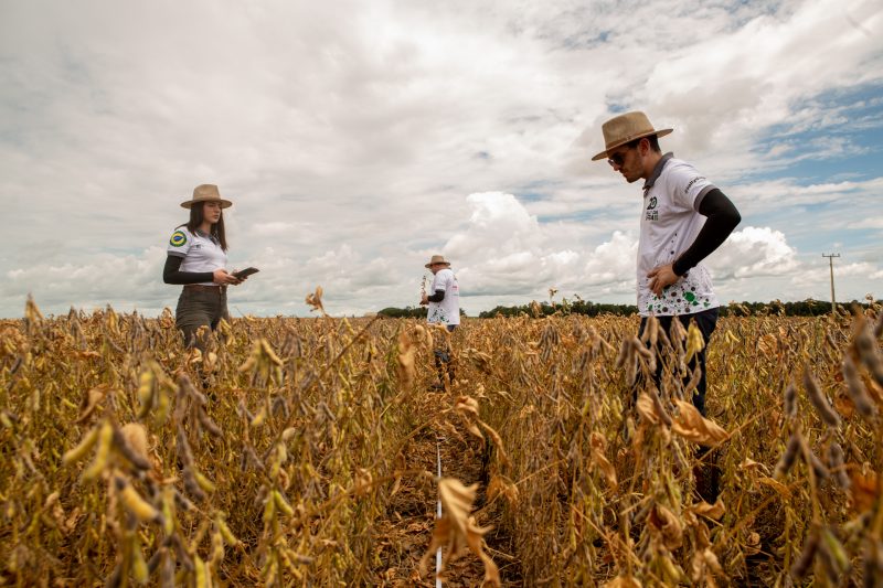 El Ni&ntilde;o pode impactar produ&ccedil;&atilde;o agr&iacute;cola em Santa Catarina – Foto: Eduardo MontSou-Rally da Safra/Divulga&ccedil;&atilde;o/ND