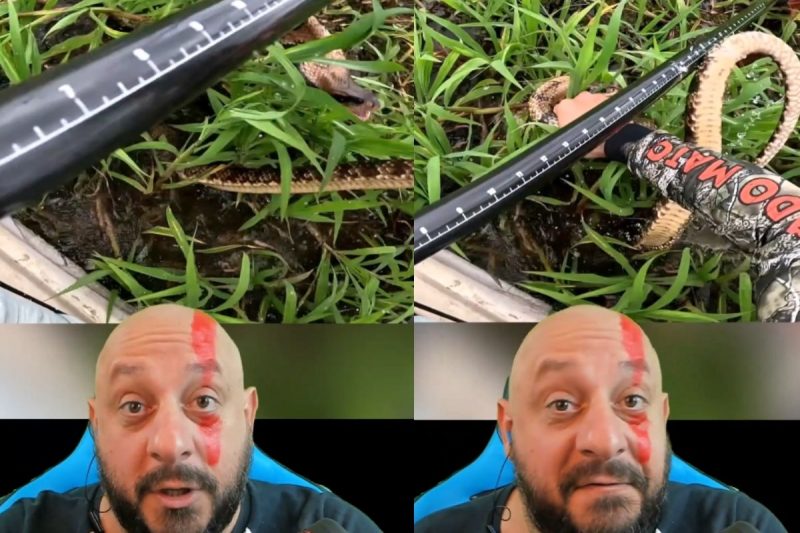 Cobra subiu no caiaque e, depois, mordeu pescador – Foto: Reprodu&ccedil;&atilde;o/Redes Sociais/ND