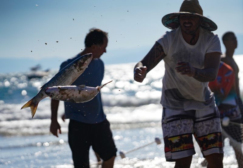 Captura de tainhas pode ser prejudicada- Foto: RICARDO WOLFFENBUTTEL/ND