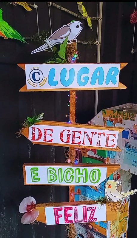 No Centro Educacional Professora Maria de Lourdes Couto Cabral - CAIC os desenhos são formas de retratar os animais que vivem na unidade