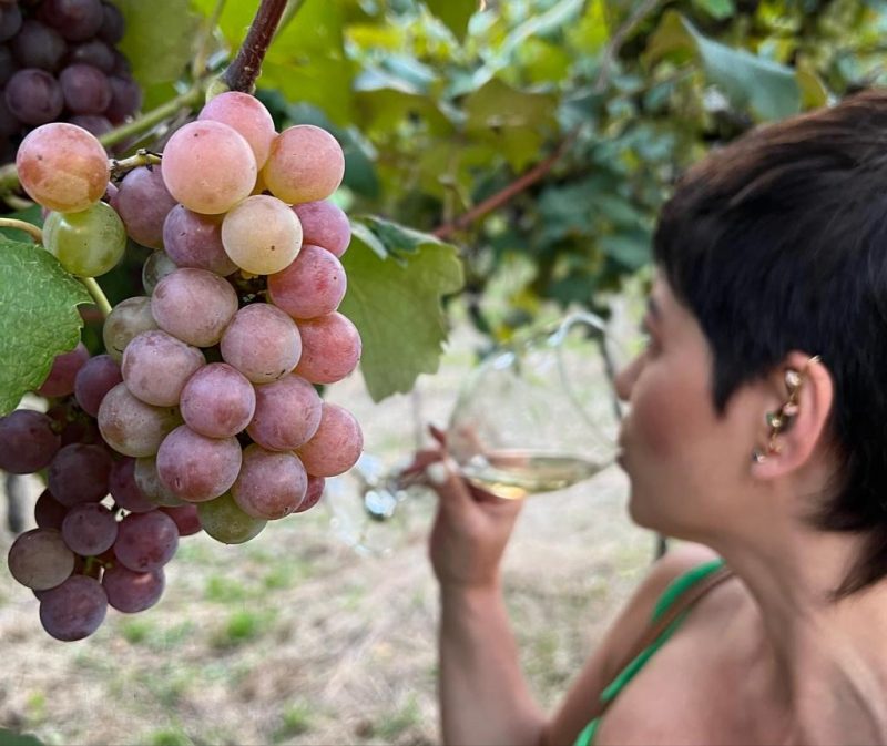 Foto de um cacho de uva na parreira. Ao fundo e desfocada, uma mulher branca de cabelo curto e preso toma uma taça de vinho. 