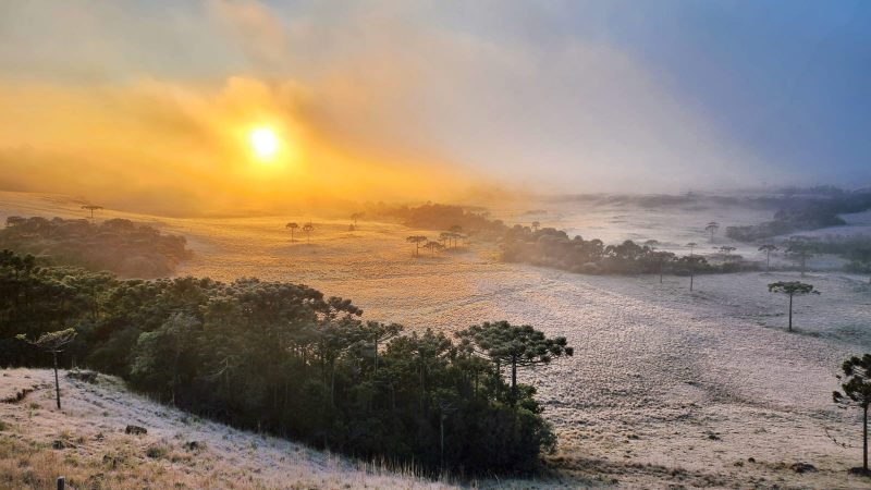 Foto de um vale com vegetação verde coberto de neve. Ao fundo, o céu está amarelado com o nascer do sol. 