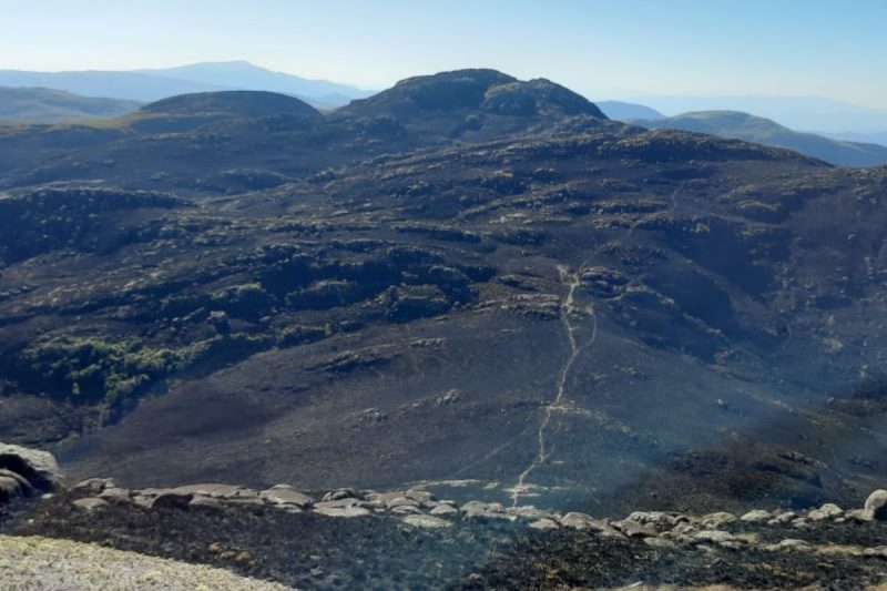 O inc&ecirc;ndio iniciou nesta ter&ccedil;a-feira (27) – Foto: Corpo de Bombeiros/Divulga&ccedil;&atilde;o/ND