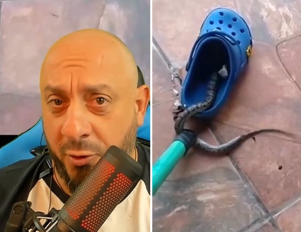 Ao contr&aacute;rio do que homem imaginava, animal n&atilde;o era pe&ccedil;onhento e tudo n&atilde;o passou de um grande susto – Foto: Bi&oacute;logo Henrique Abrah&atilde;o/Divulga&ccedil;&atilde;o/ND