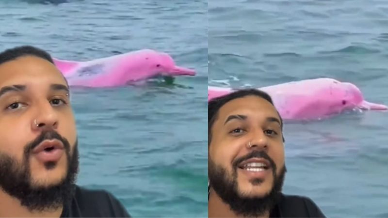 Esp&eacute;cie chama aten&ccedil;&atilde;o por colora&ccedil;&atilde;o rosa – Foto: Biomesquita/Reprodu&ccedil;&atilde;o/ND