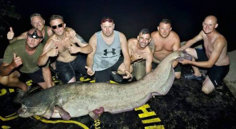 Peixe-gato gigante é capturado por pescador britânico após quase uma hora de luta