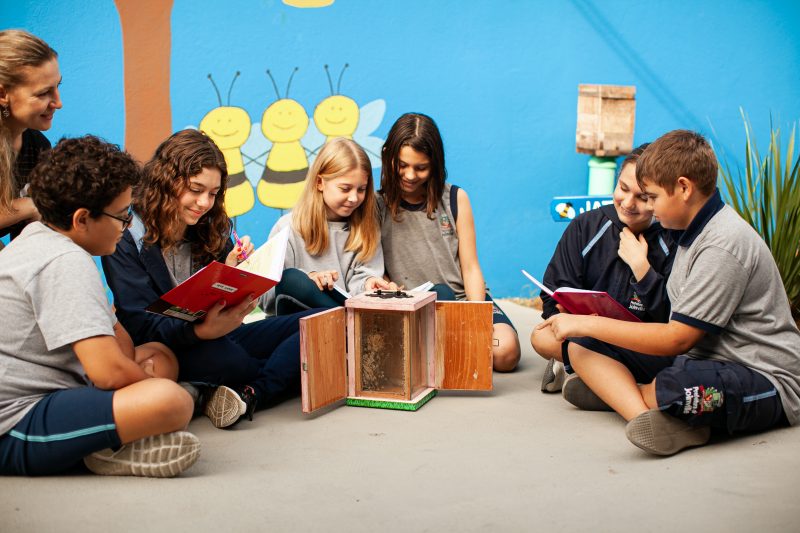 Projeto desenvolvido na EM Bernardo Tank une abelha e matem&aacute;tica – Foto: Leve Fotografia/Divulga&ccedil;&atilde;o/its Teens