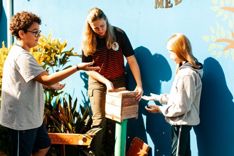 Na unidade, alunos convivem com tr&ecirc;s tipos de abelhas sem ferr&atilde;o – Foto: Leve Fotografia/Divulga&ccedil;&atilde;o/its Teens