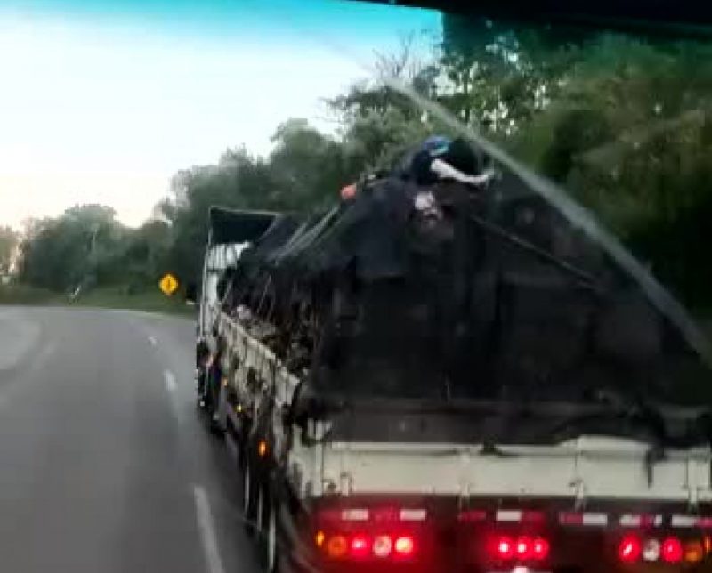 Carona inusitada aconteceu em uma rodovia de SC