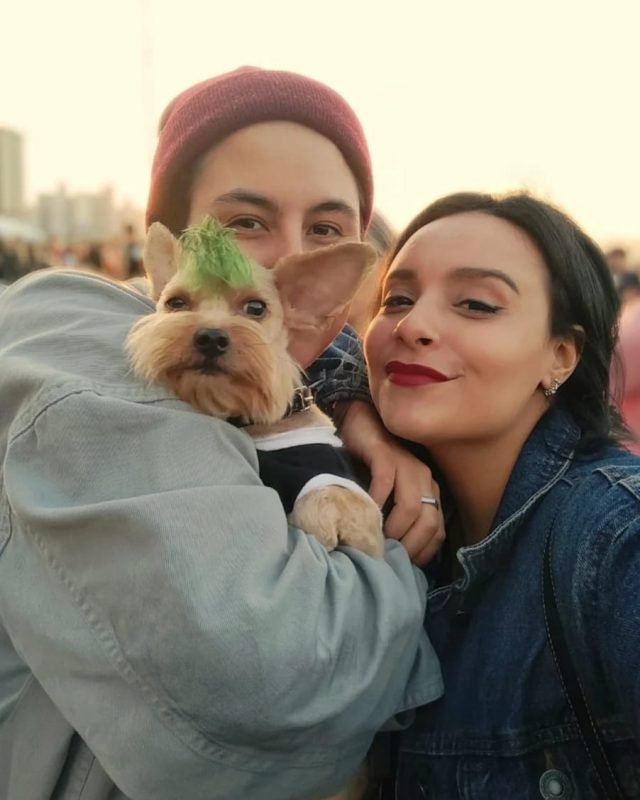 O cachorrinho Luke, o grande vencedor de 2022 – Foto: Divulga&ccedil;&atilde;o/ND