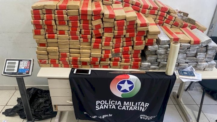 Ao todo, a PM encontrou 313,6 kg de maconha – Foto: Pol&iacute;cia Militar/Divulga&ccedil;&atilde;o/ND