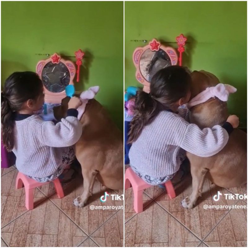 Em sal&atilde;o de beleza improvisado, menina canta sucesso de Shakira e aparece maquiando a cachorra – Foto: Reprodu&ccedil;&atilde;o/ND