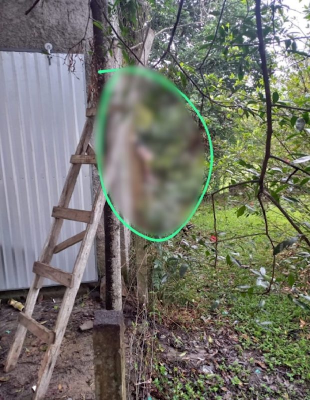 Cadáver é encontrado preso em janela de Rio do Sul 