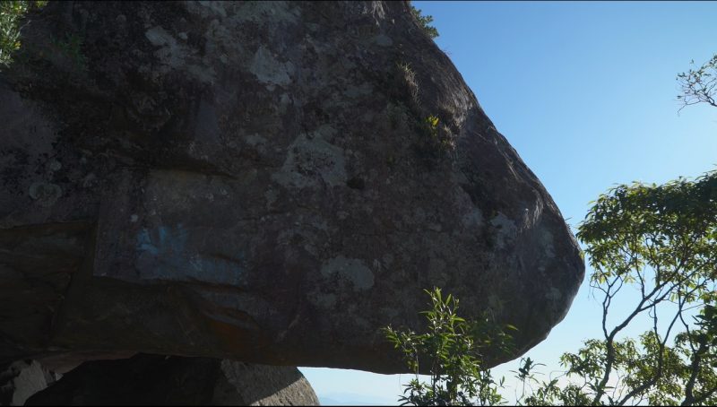 Nariz no Morro do Cambirela