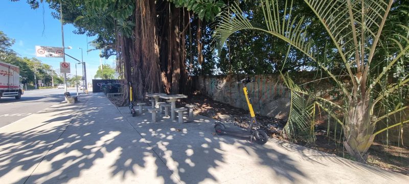 Patinetes elétricos aparecem largados pela cidade 