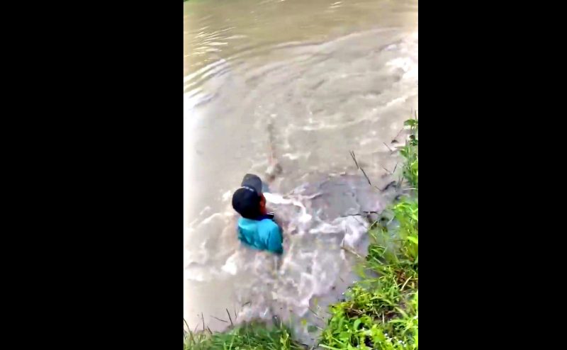 Peixe gigante arrasta pescador para dentro da &aacute;gua – Foto: Reprodu&ccedil;&atilde;o/ND