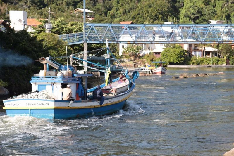 Encerramento da pesca anilhada preocupa pescadores em Santa Catarina – Foto: Secom/Divulga&ccedil;&atilde;o/ND