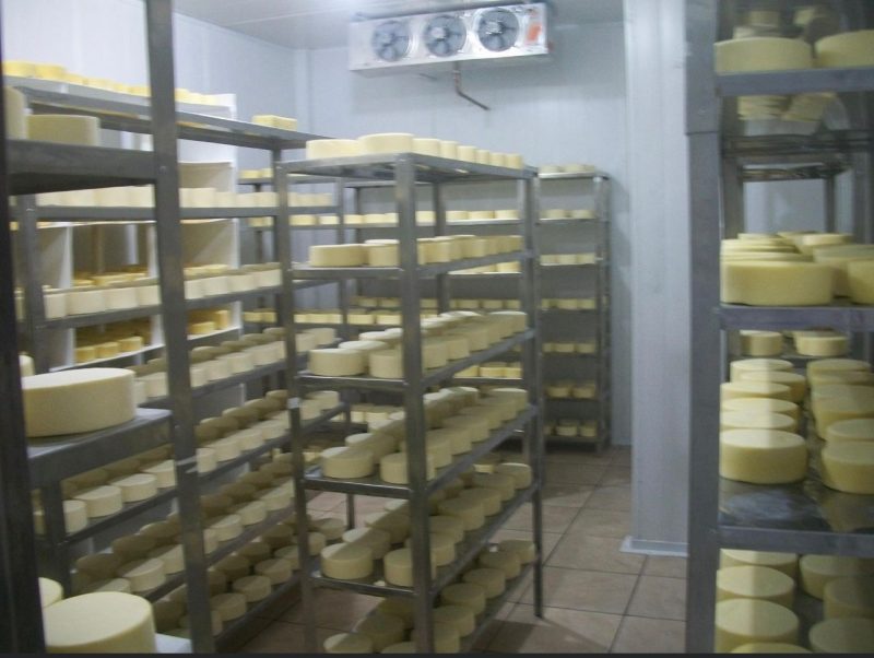 Vigilância Sanitária de SC manda recolher lote de queijo