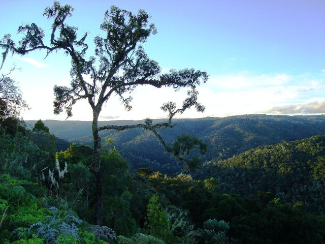 Empresa alega que &aacute;rea teria sido invadida em outubro de 2020 – Foto: Divulga&ccedil;&atilde;o/TRF4/ND